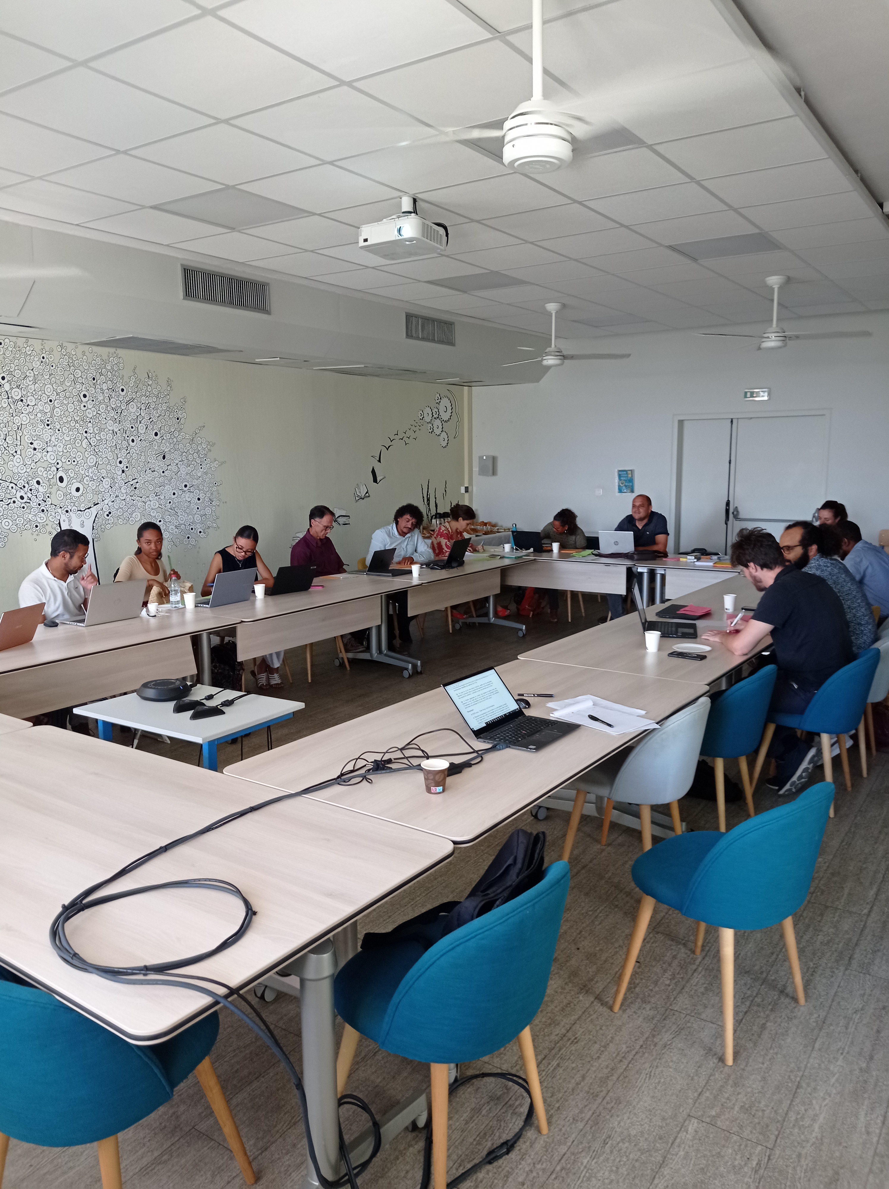 A successful second Pilot Site Community meeting for La Réunion!