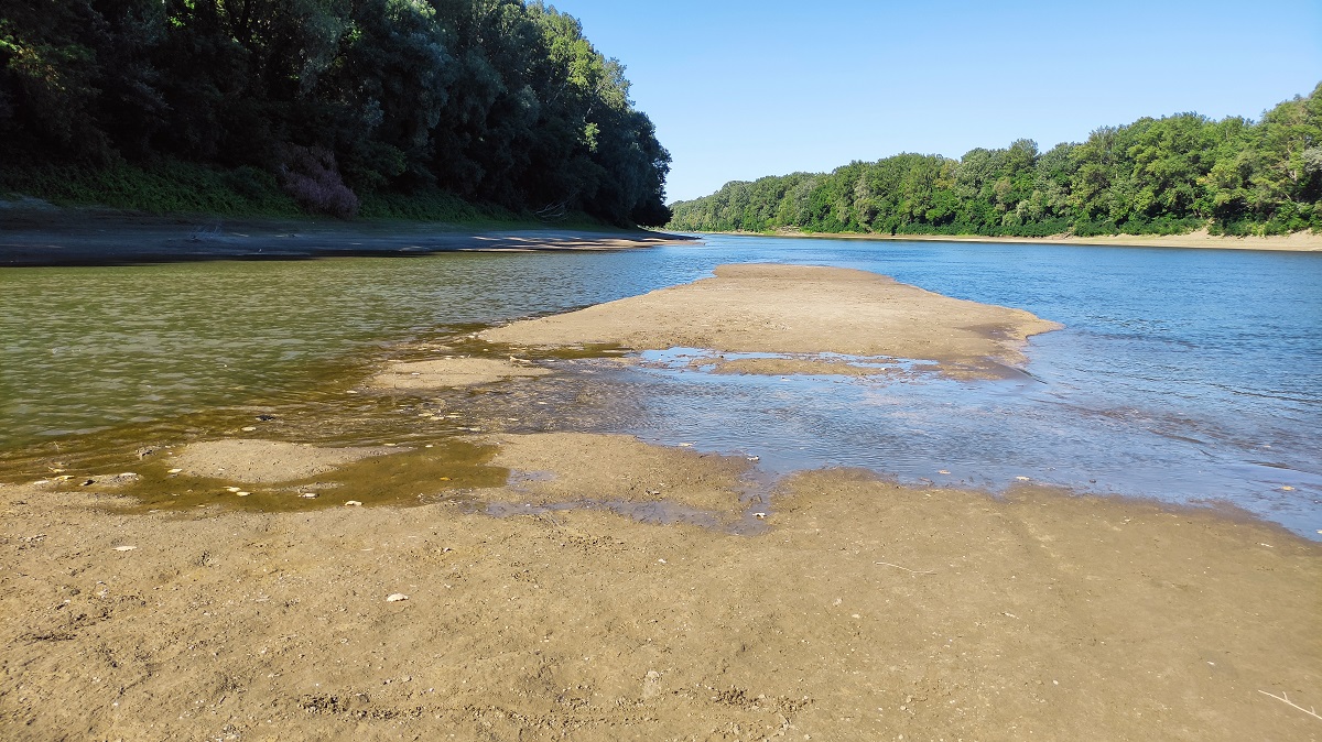 Tisza 